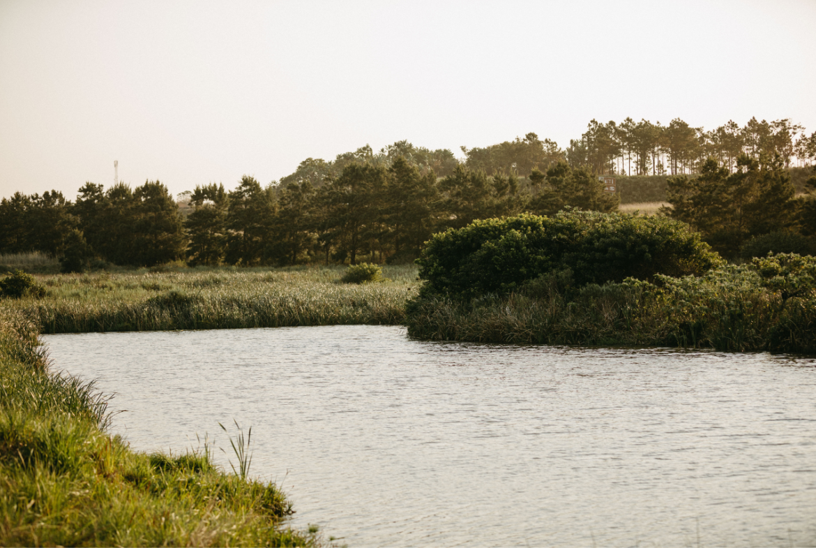 Bahari Bay Eco Estate, Shelly Beach Luxury Plot & Plan Homes from R5 495 000 | No Transfer Duty