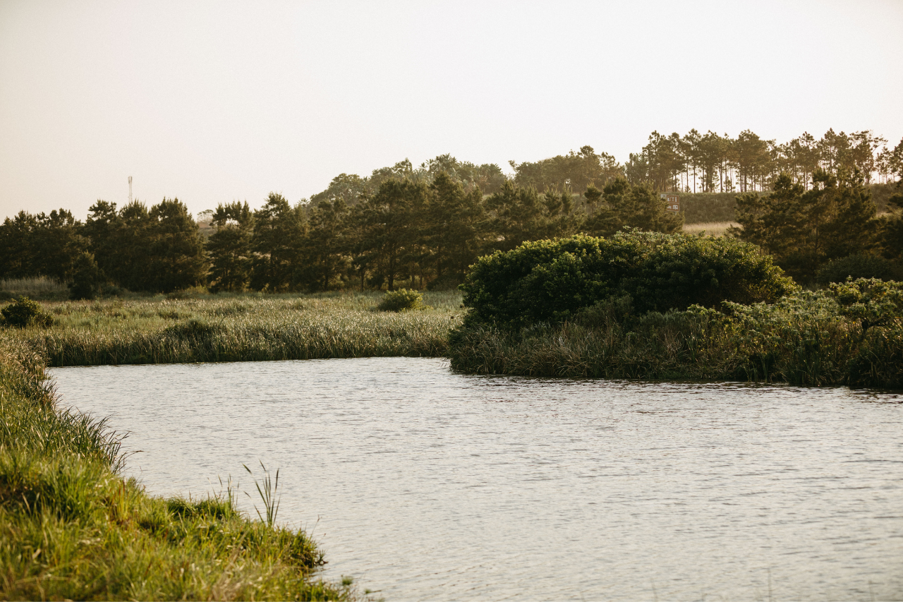 Bahari Bay Eco Estate, Shelly Beach Luxury Plot & Plan Homes from R5 495 000 | No Transfer Duty