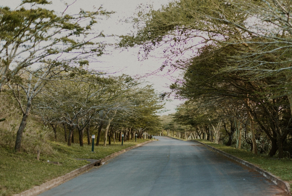 Bahari Bay Eco Estate, Shelly Beach Luxury Plot & Plan Homes from R5 495 000 | No Transfer Duty
